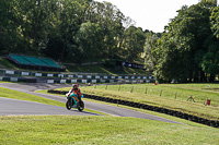 Middle Group Multicolour Bikes